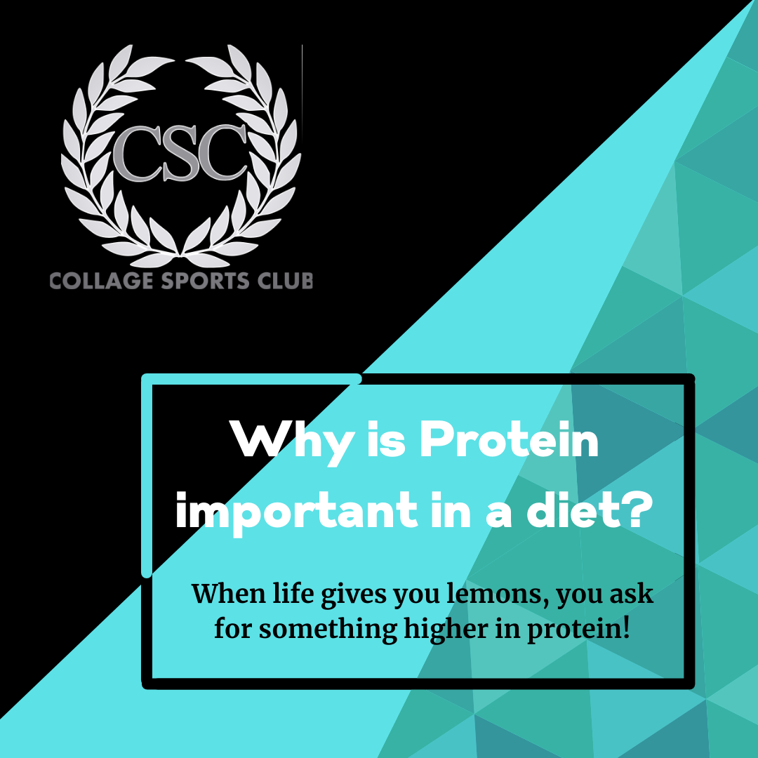 Why is Protein important in a diet?